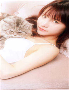遥远的婚约全集在线观看